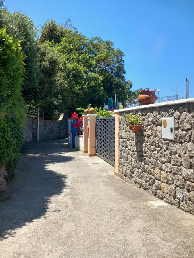 Villetta Panoramica Forio di Ischia Zewnętrze zdjęcie