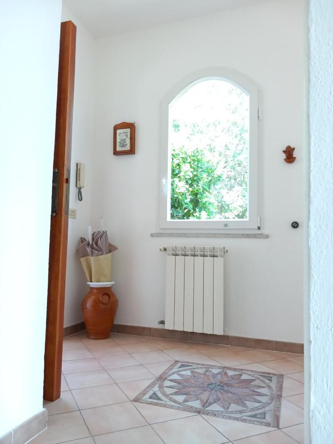 Villetta Panoramica Forio di Ischia Zewnętrze zdjęcie