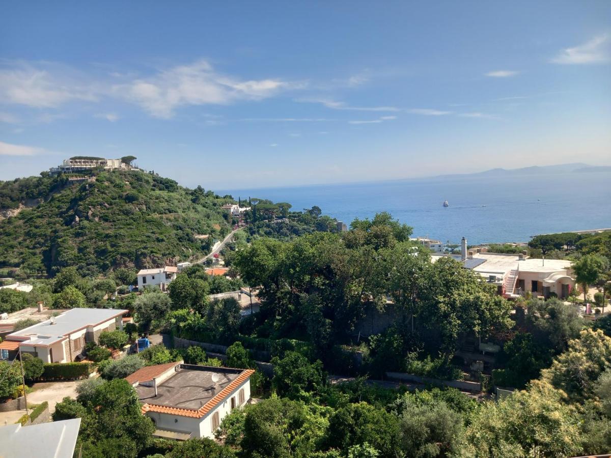 Villetta Panoramica Forio di Ischia Zewnętrze zdjęcie